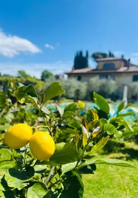 Giardino di VILLA GIOTTO Florence