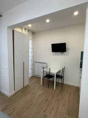 TV o dispositivi per l'intrattenimento presso Sofia Florence Apartment