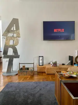 TV o dispositivi per l'intrattenimento presso Art Apartments