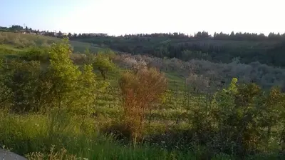 Paesaggio naturale nelle vicinanze dell'appartamento