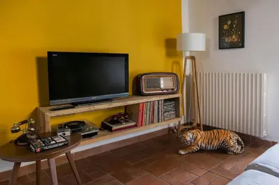 TV o dispositivi per l'intrattenimento presso La Casa nella Torre - Apartment