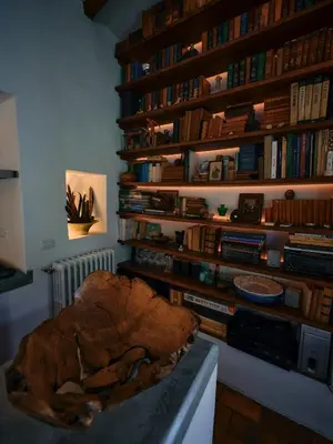 Biblioteca nella villa