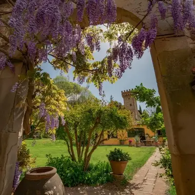 Charming cottage only for you