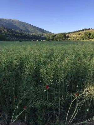 Paesaggio naturale nelle vicinanze dell'appartamento