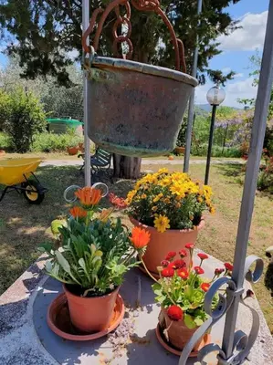 Giardino di Dependance nel Chianti a pochi minuti da Firenze