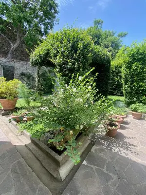 Giardino di Florence Walled Garden - The Tom's Private Oasis