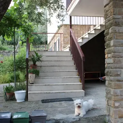 BELLA VISTA BOLOGNESE