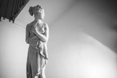 Planimetria di Palazzo Alfieri - Place of Charme
