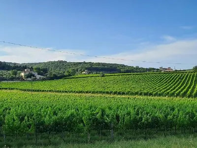 Paesaggio naturale nelle vicinanze dell'appartamento
