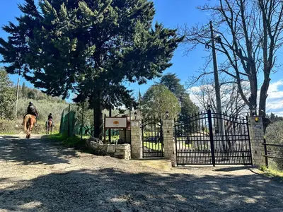 Planimetria di Agriturismo Tassinaia