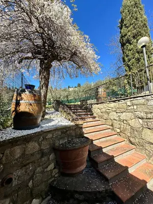 Giardino di Agriturismo Tassinaia