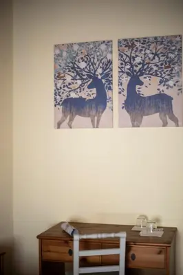 Planimetria di Agriturismo Tassinaia