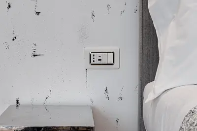 Letto o letti in una camera di Guicciardini 24