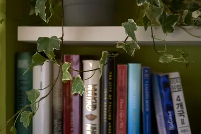Biblioteca nell'appartamento