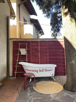 Planimetria di Charming Self House