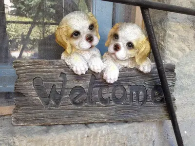 Ospiti di Casa Olivia con animali domestici