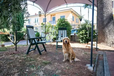 Ospiti di Easy Florence Scandicci con animali domestici