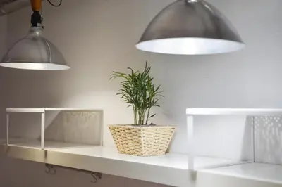 Planimetria di San Pierino Apartment