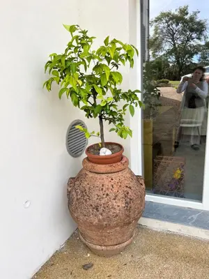 Giardino di Joy home