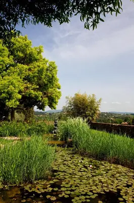 Paesaggio naturale nelle vicinanze dell'hotel