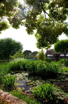 Giardino di Hotel Torre di Bellosguardo