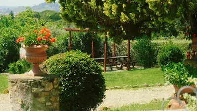 Giardino di Il Frantoio delle Grazie