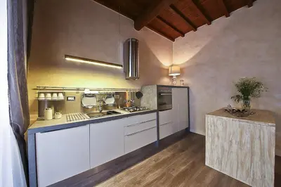 Cucina o angolo cottura di Apartments Florence - Giglio santa trinita