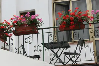 Balcone o terrazza di Hotel Dalmazia