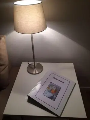 Planimetria di Casa Maron
