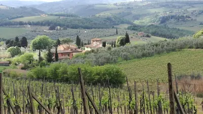 Paesaggio naturale nelle vicinanze of country house