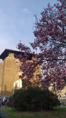 Giardino di Firenze Alla Porta coi Sassi