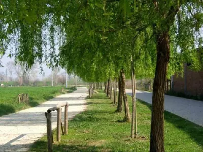 Giardino di La Casa di Nella