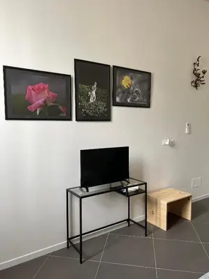 TV o dispositivi per l'intrattenimento presso Casa nel cuore di Firenze-Interno1