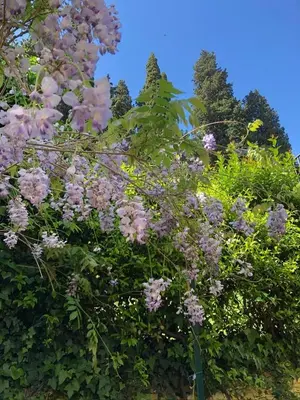 Giardino di Rusciano Park Apartment