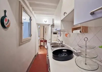 Cucina o angolo cottura di Apartments Florence - Ghibellina 96