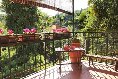 Balcone o terrazza di Albero Mago