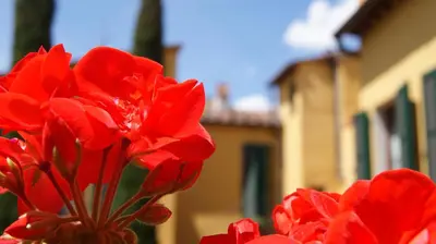 Planimetria di Al Canto B&B