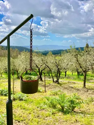 Paesaggio naturale nelle vicinanze dell'appartamento