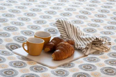 Cibo presso l'appartamento o nelle vicinanze