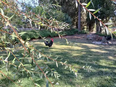 Giardino di La Casina nel Chianti