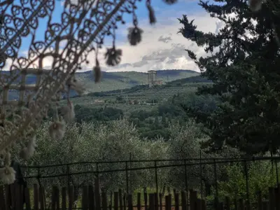 Paesaggio naturale nelle vicinanze dell'affittacamere