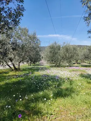 Paesaggio naturale nelle vicinanze dell'affittacamere