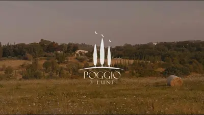 Certificato, attestato, insegna o altro documento esposto da Poggio 3 Lune