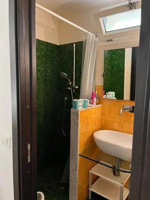 Bagno di Exquisite 2BR apartment nearby Borgo San Frediano
