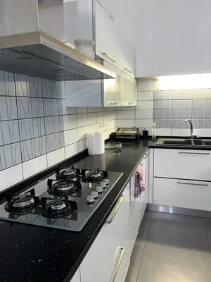 Cucina o angolo cottura di Exquisite 2BR apartment nearby Borgo San Frediano