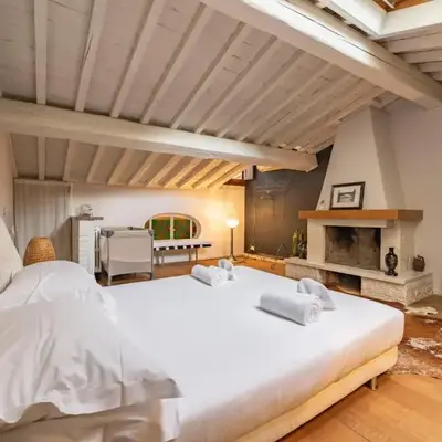 Elegant Penthouse in Santo Spirito