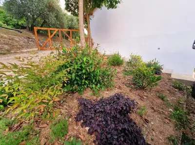 Giardino di Appartamento Ombra