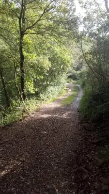Paesaggio naturale nelle vicinanze della villa
