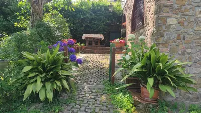 Giardino di The Quiet Room