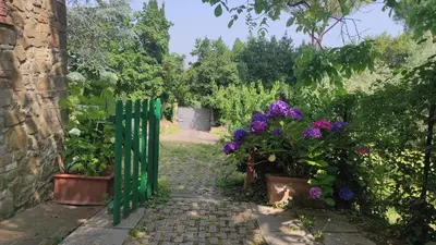 Giardino di The Quiet Room